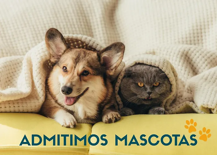 Biescas 3000 Lägenhet Gavín